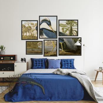 Hexad Heron by Audubon